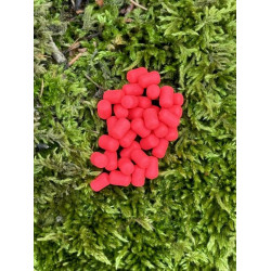 Wafter Secret Formula 4 mm
