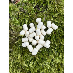 Wafter Usturoi 4 mm